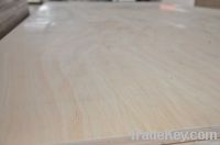 Packaging Plywood