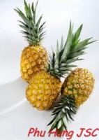 Fresh Pineapple