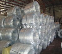 Galvanized steel  wire