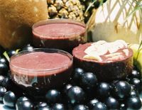 acai frozen pulp and mix