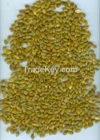 pumpkin seeds kernels GWS and shine skin