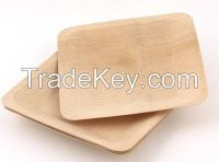 Disposable Bamboo Plates