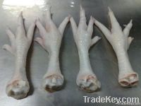  Export Chicken Paw | Chicken Feet Suppliers | Poultry Feet Exporters | Chicken Feets Traders | Processed Chicken Paw Buyers | Frozen Poultry Paw Wholesalers | Low Price Freeze Chicken Paw | Best Buy Chicken Paw | Buy Chicken Paw | Import Chicken Paw | Ch