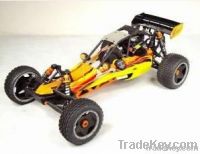 RC Baja 260