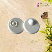 Mini Round EAS Hard Bottle Tag