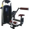 gym equipment-Back Extension Body Building