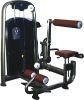 gym equipment-abdominal and back extension