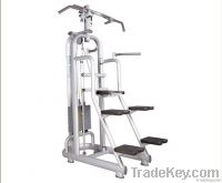assisted dip&chin up station