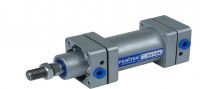 Pneumatic Cylinder