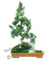 https://jp.tradekey.com/product_view/Bonsai-potplant-indoor-Plant-podocarpus-landscape-10cm-60cm-1759740.html