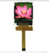 1.45 Inch TFT Rtp Optional