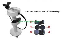 Hot G5 Vibration Slimming Machine