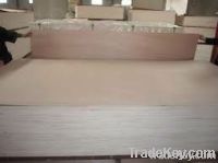 Best quality commercial plywood