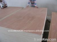 Vietnamese commercial plywood