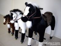 Racing Toy Pony