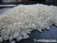 https://jp.tradekey.com/product_view/Calrose-White-Rice-5-Broken-3377367.html