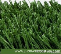 Soccer Grass