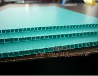 PP Corrugated Plastic Sheet/ Board