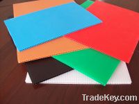 PP Corrugated Fluted Plastic Sheet / Board