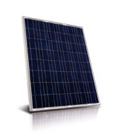 Polycrystalline Solar Module