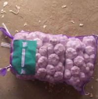 High or common quality Normal White Garlic