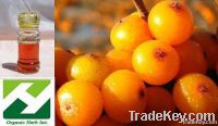 Seabuckthorn Berry Oil-Vitamin E(Supercritical CO2)