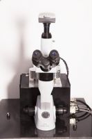 Bio AFM - Atomic Force Microscope