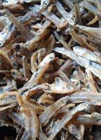 Borneo Anchovies