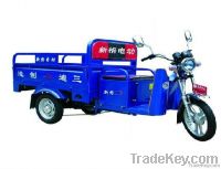 pedal cargo tricycle