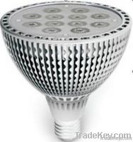 LED PAR38, E27, 12X2W