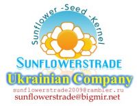 Sunflower SEEDS  calibrated