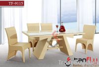 TF-9115 Indoor rattan furniture set