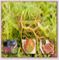 Carrageenan for meat products