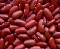 Brittish red beans