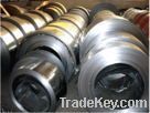 galvanized plain steel sheet in coill