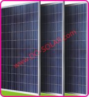 230W Poly-crystalline Solar Module, Solar Panel, PV Module, PV Panel