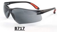 B717 Safety Spectacles