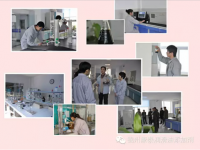 Hydraulic oil additive package(lubricant additives)