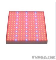 SMD 14W Hydro Cree LED Grow Panels