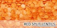 Red Split Lentils