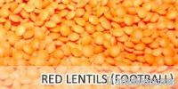 Red Lentils (Football)