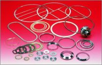 metal gasket