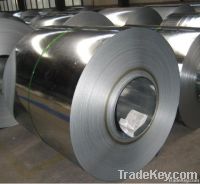 Galvanized Steels Coils