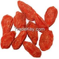 EU standard Dried Goji Berries, Tibetan Plateau wolfberry, Farm Sealed