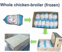 Whole Chicken | Export Whole Chicken Meat | Chicken Meat Suppliers | Poultry Meat Exporters | Chicken Pieces Traders | Processed Chicken Meat Buyers | Frozen Poultry Meat Wholesalers | Halal Chicken | Low Price Freeze Chicken Wings | Best Buy Chicken Part