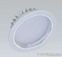 LED Down Light