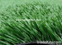 Artificial grass for football field