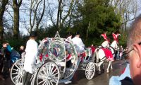 Decorated white Horse and Cart for an Indian Wedding