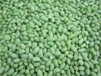 IQF Green Soybean Kernel