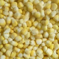 IQF Sweet Corn Kernel